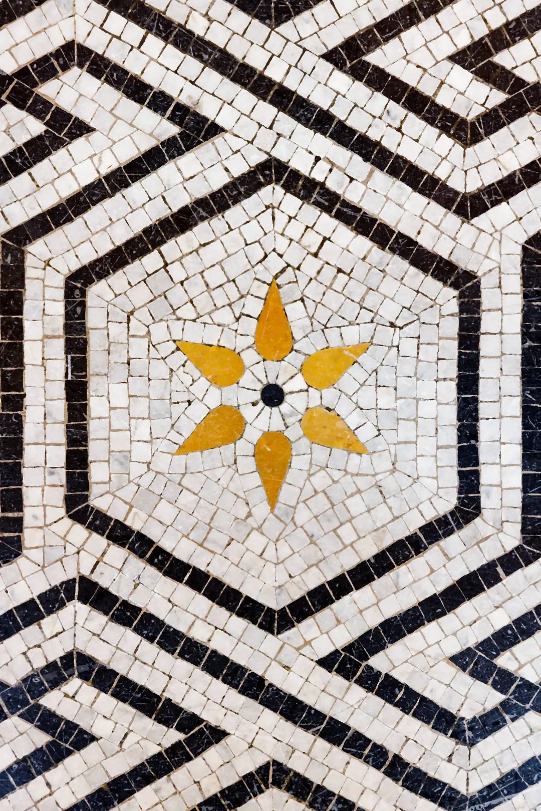 Detail of the marble mosaic floor of the Great Hall — a gold rosette set in concentric bands of white and black stone.